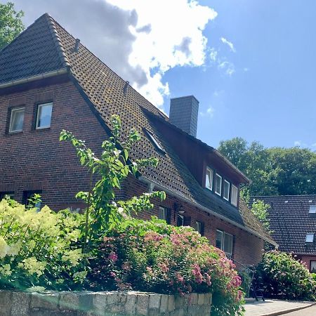 Apartment Hillmer Bispingen Exterior photo