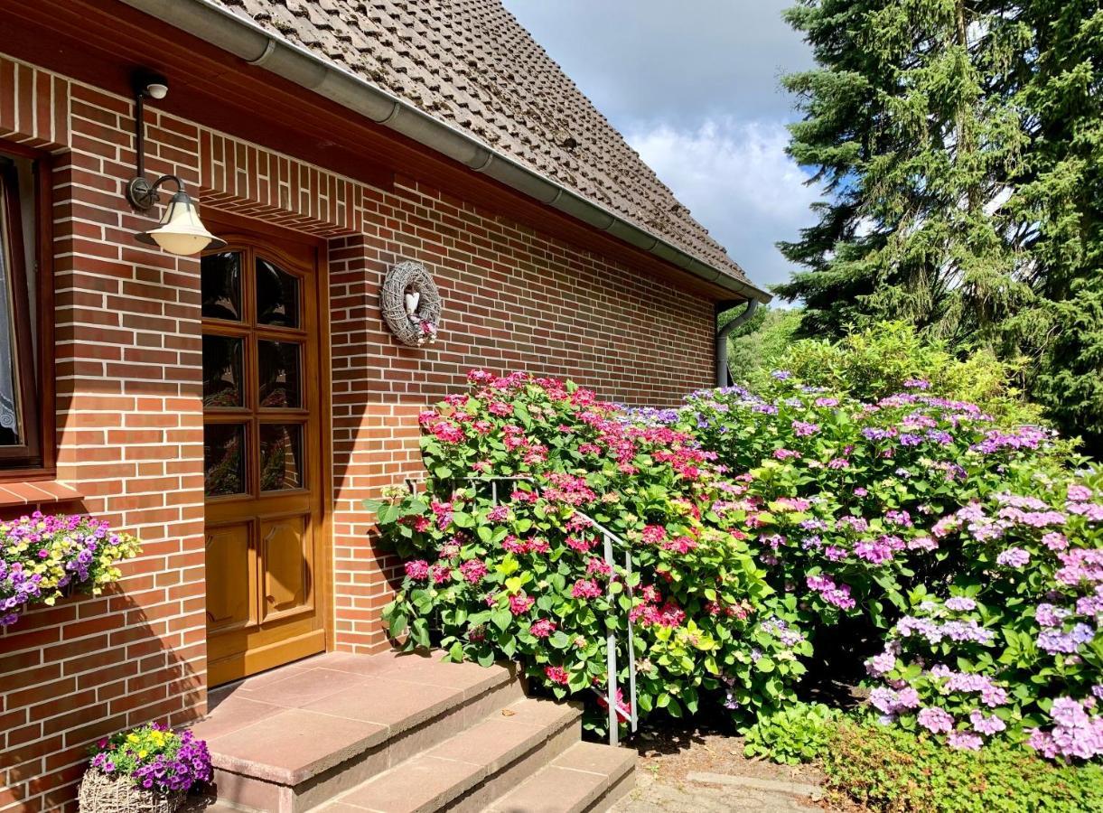 Apartment Hillmer Bispingen Exterior photo